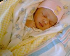 IMG00018bg